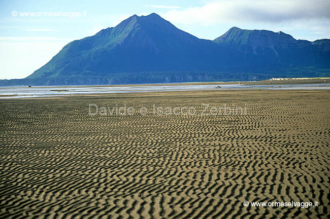 Spiaggia Katmai 62-31-07